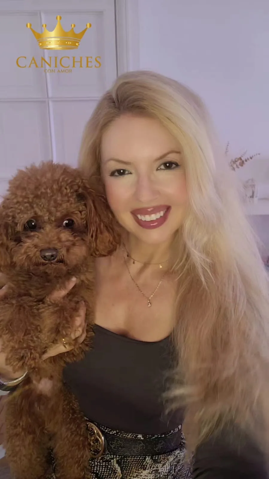 Elena - Asesora Experta en Caniches